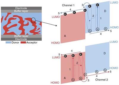 The Crystallinity Control of Polymer Donor Materials for High-Performance Organic Solar Cells